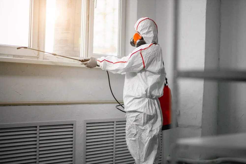Professional mold remediation services in Georgetown, OH